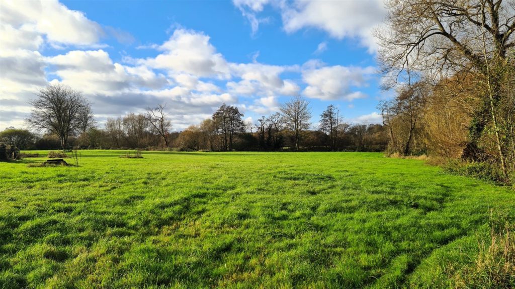 Unstead Lane, Bramley, Guildford